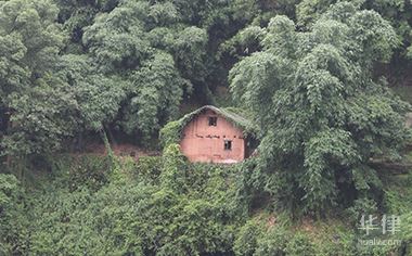 老人去世后农村的宅基地怎么处理