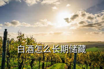 白酒怎么存放10年以上，白酒怎么长期储藏