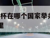 2024欧洲杯在哪个国家举办,2024欧洲杯在哪里