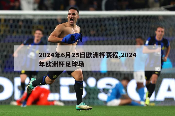 2024年6月25日欧洲杯赛程,2024年欧洲杯足球场
