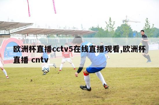 欧洲杯直播cctv5在线直播观看,欧洲杯直播 cntv