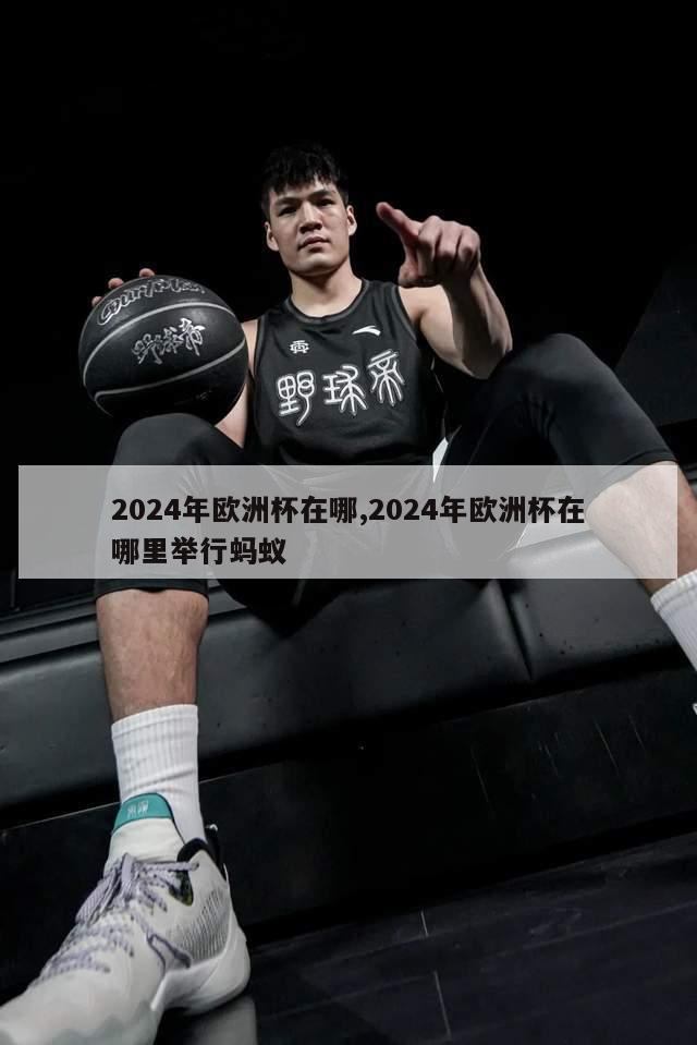 2024年欧洲杯在哪,2024年欧洲杯在哪里举行蚂蚁